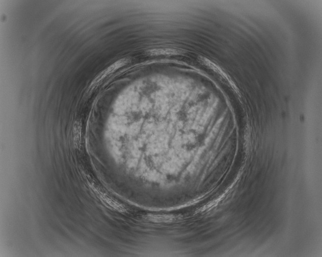 X0000085750825200703301400