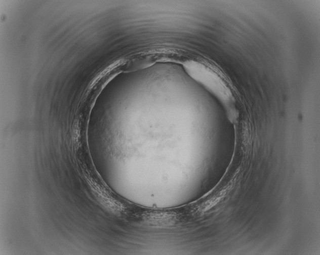 X0000085750826200703301400