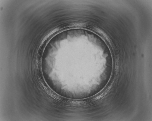 X0000085750827200703301400