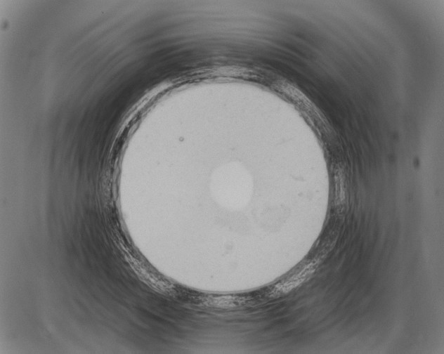 X0000085750828200703301400