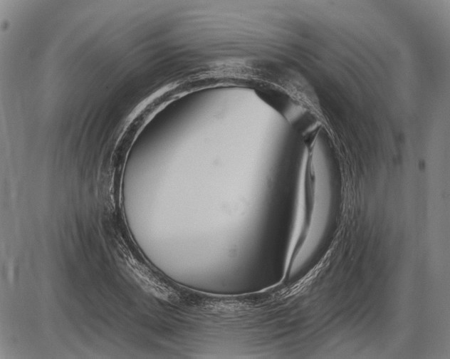 X0000085750830200703301400