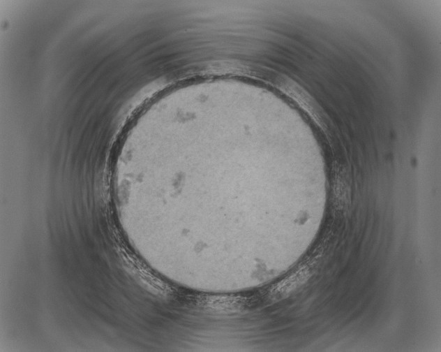 X0000085750832200703301400