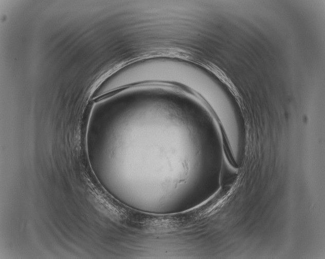 X0000085750834200703301400