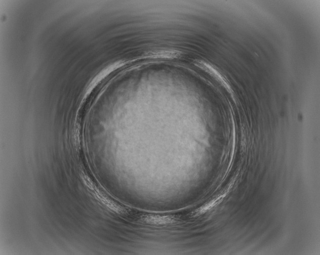 X0000085750835200703301400