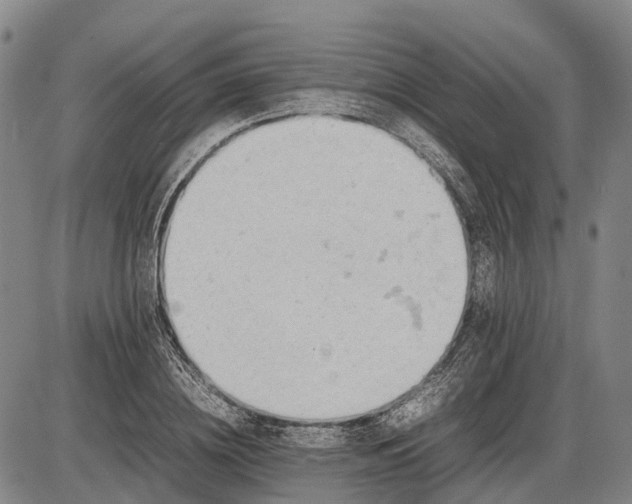 X0000085750836200703301400