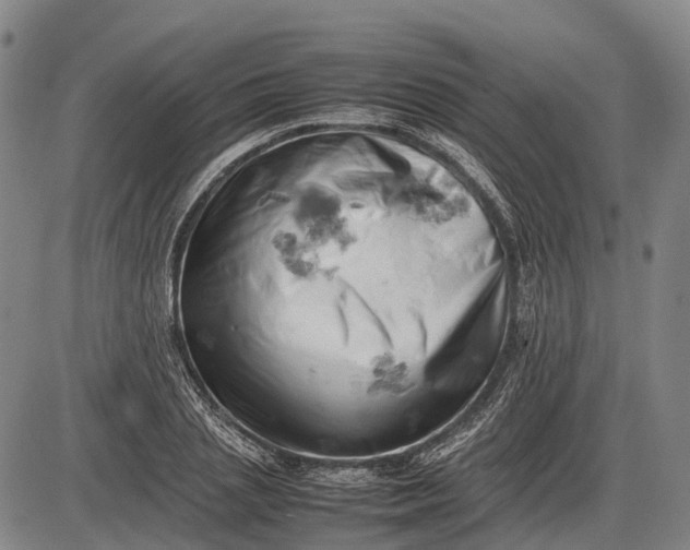 X0000085750837200703301400