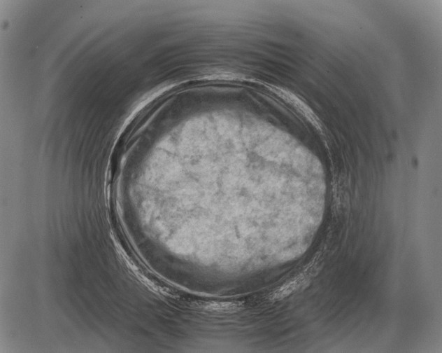 X0000085750839200703301400