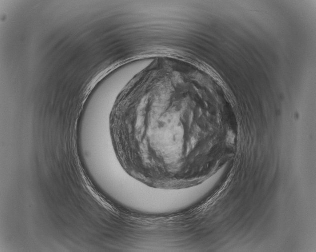 X0000085750842200703301400