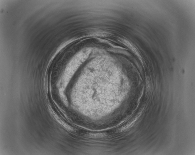 X0000085750843200703301400