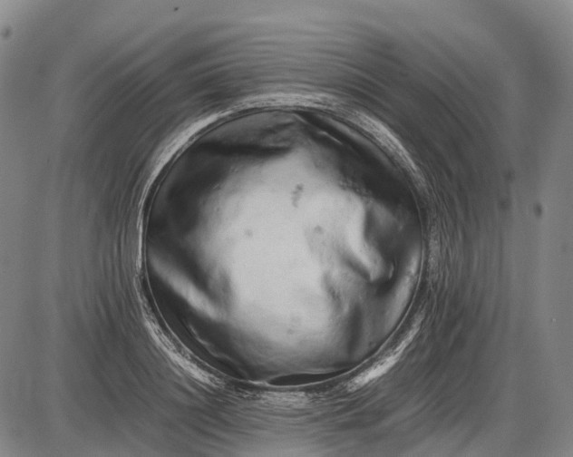 X0000085750844200703301400