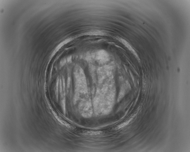 X0000085750845200703301400