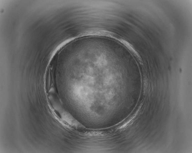 X0000085750846200703301400