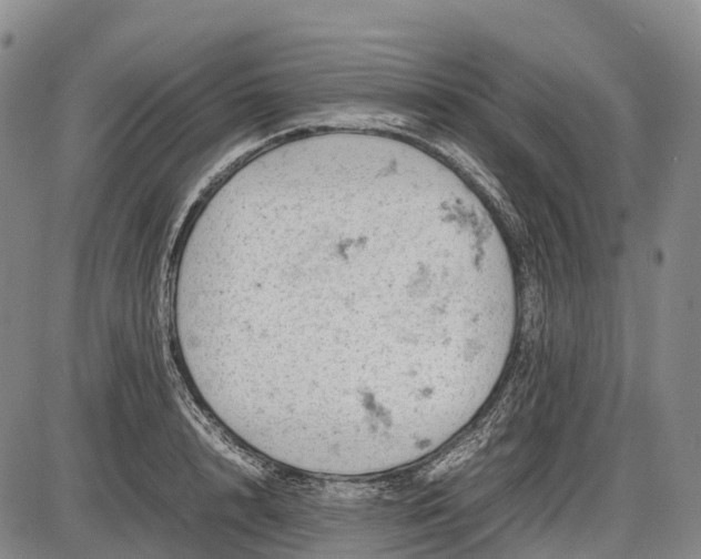 X0000085750848200703301400