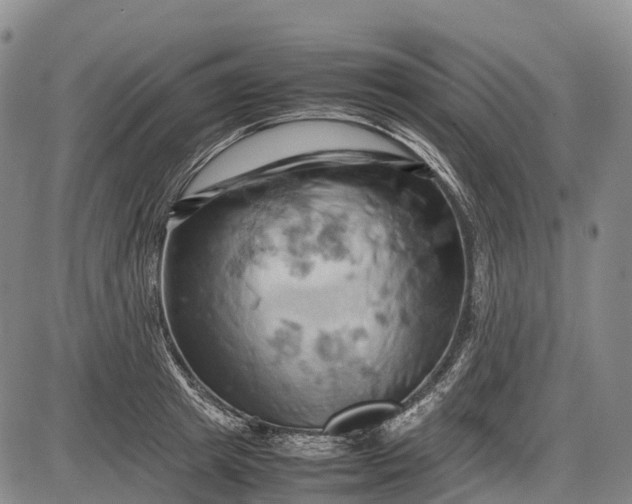 X0000085750849200703301400