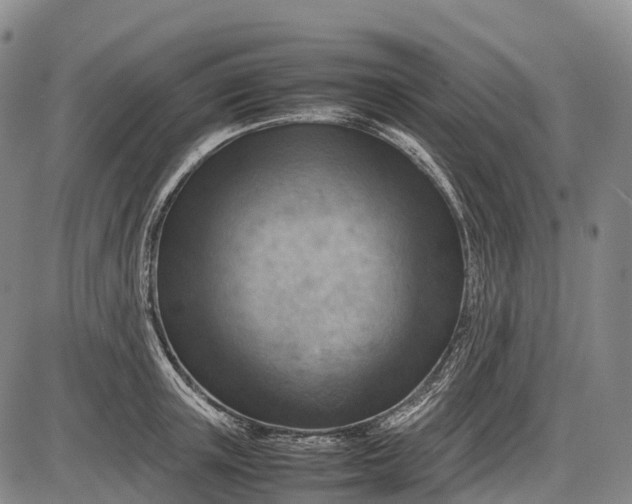 X0000085750851200703301400