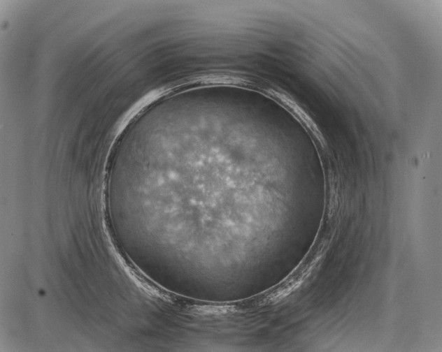 X0000085750853200703301400