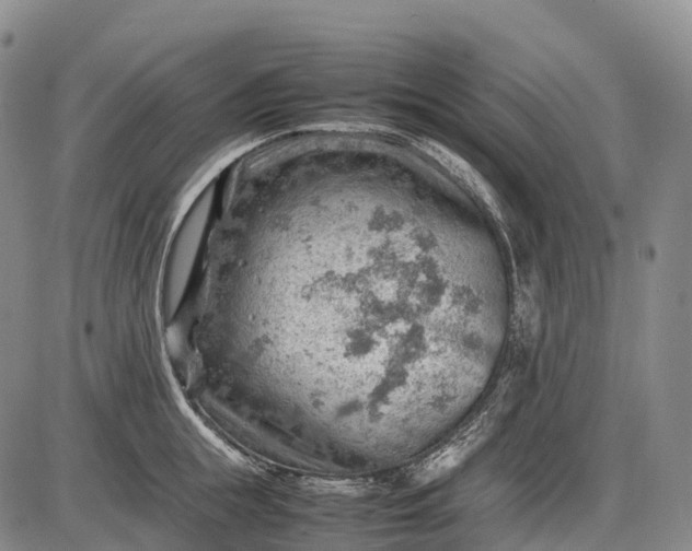 X0000085750855200703301400