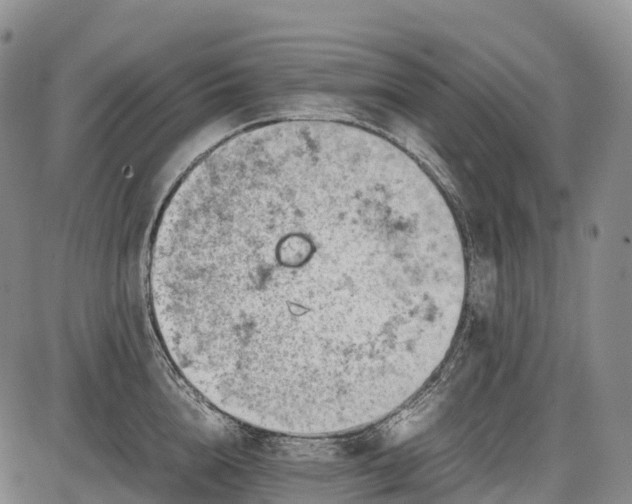 X0000085750856200703301400