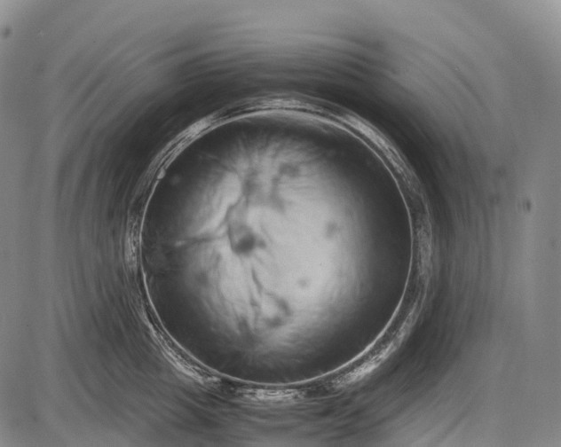 X0000085750857200703301400