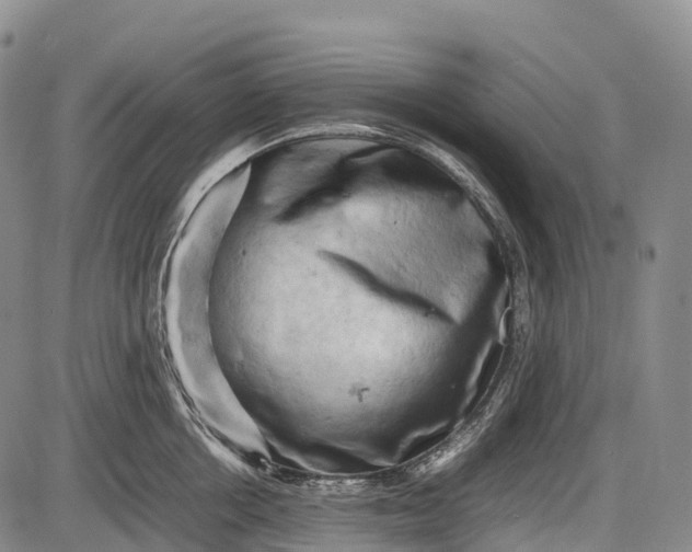 X0000085750858200703301400