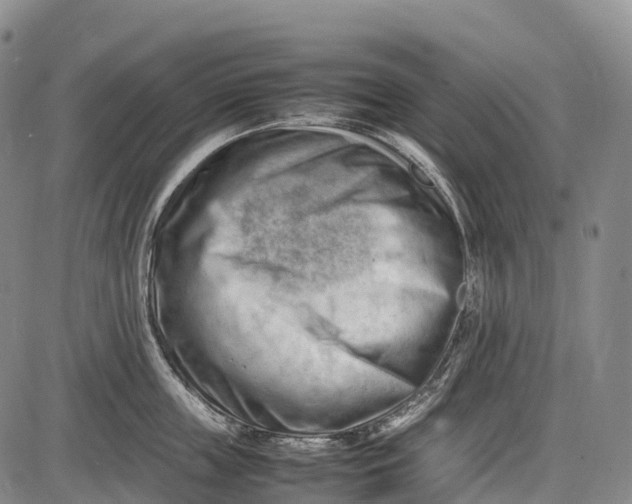 X0000085750859200703301400