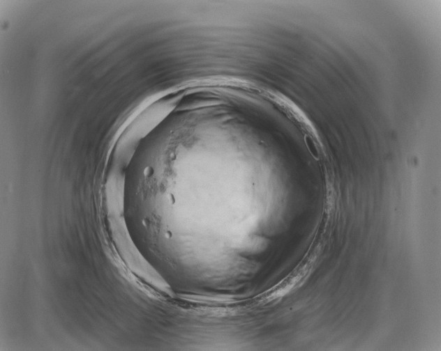 X0000085750860200703301400