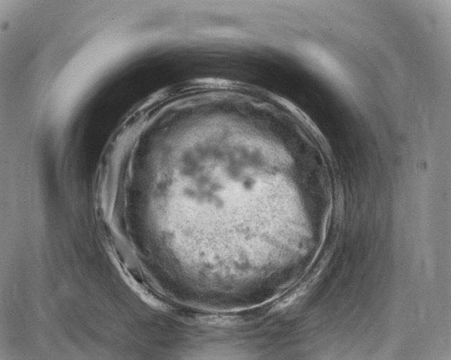 X0000085750862200703301400