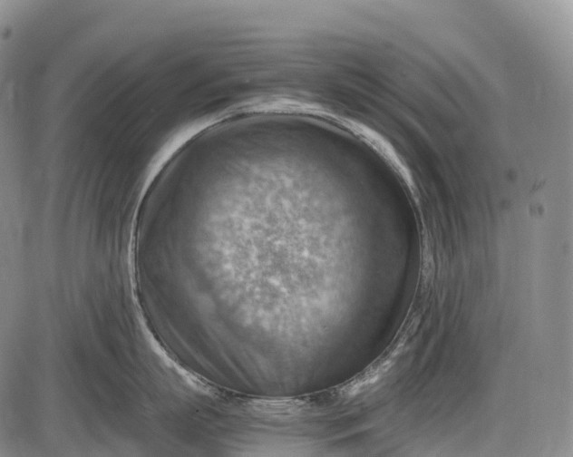 X0000085750863200703301400