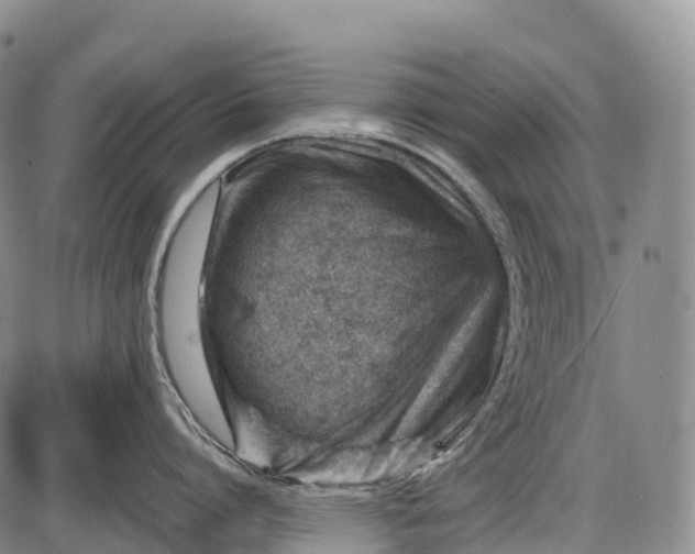 X0000085750864200703301400