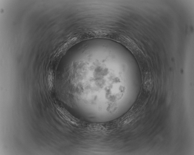 X0000085750866200703301359