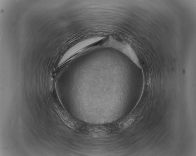 X0000085750868200703301359