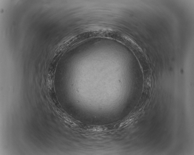 X0000085750869200703301359