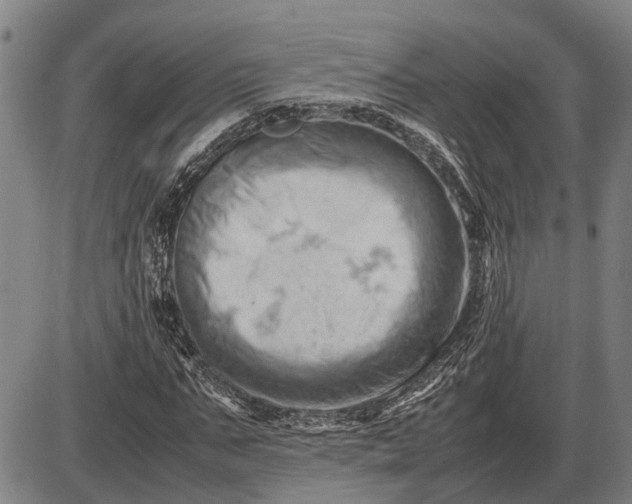 X0000085750871200703301359