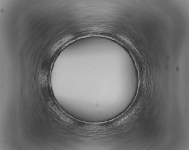 X0000085750873200703301359