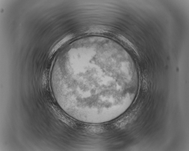 X0000085750874200703301359