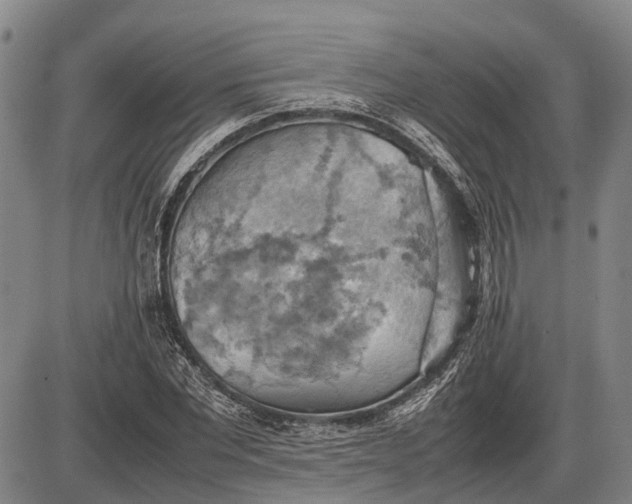 X0000085750877200703301359