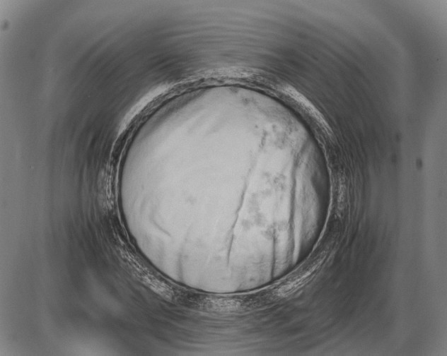 X0000085750878200703301359