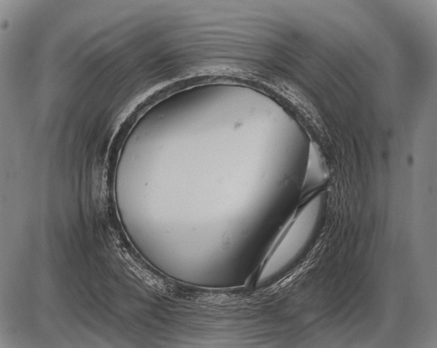 X0000085750880200703301359