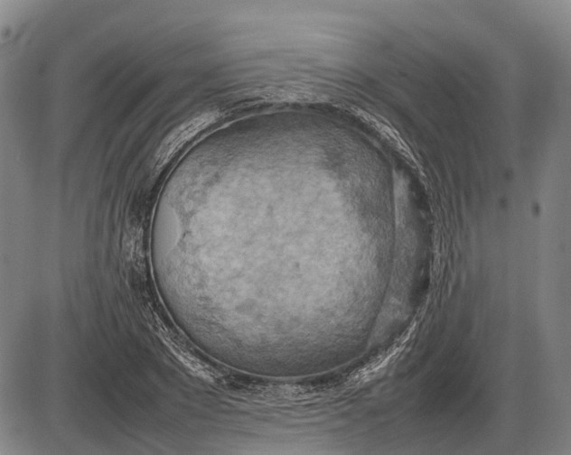 X0000085750881200703301359