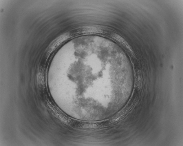 X0000085750882200703301359