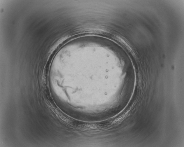 X0000085750883200703301359