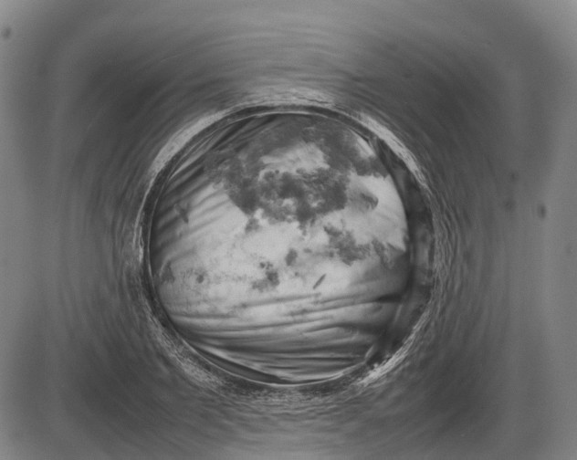 X0000085750885200703301359