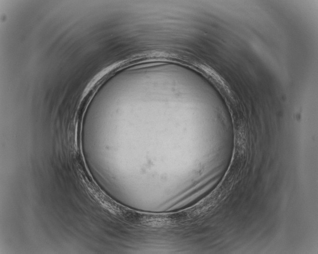 X0000085750886200703301359