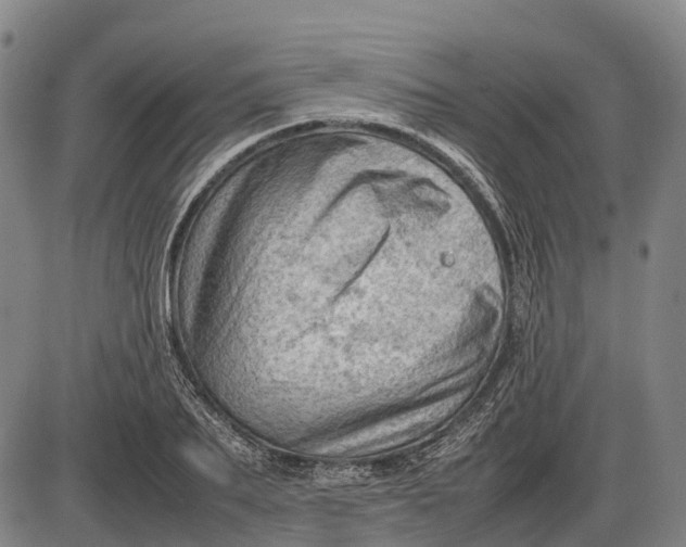 X0000085750887200703301359