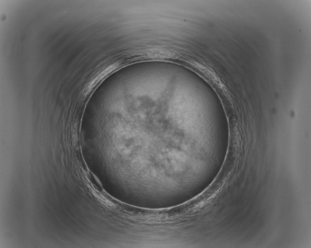 X0000085750889200703301359