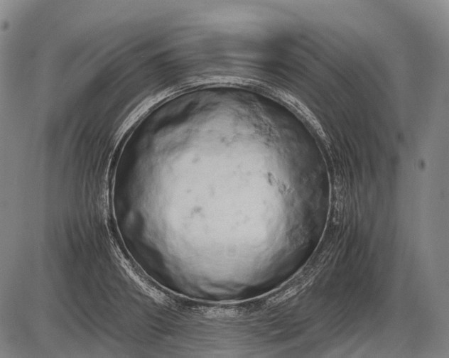 X0000085750890200703301359