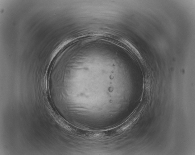 X0000085750891200703301359