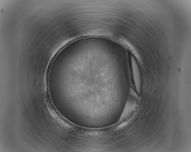 X0000085750892200703301359