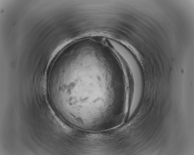 X0000085750894200703301359