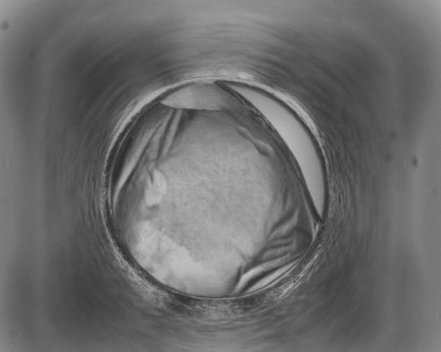 X0000085750895200703301359